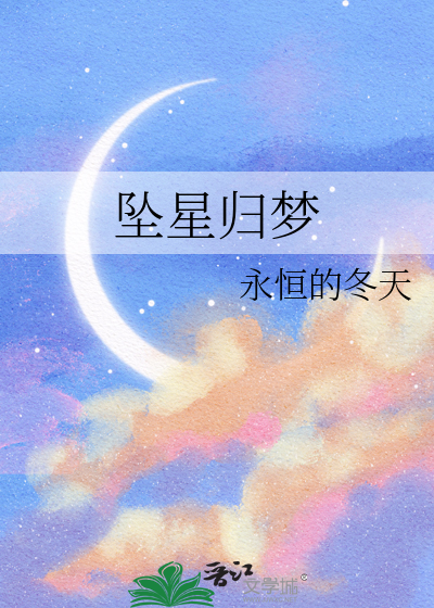 坠星归梦