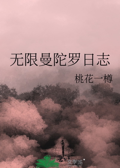 无限曼陀罗日志