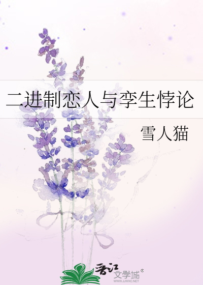 二进制恋人与孪生悖论