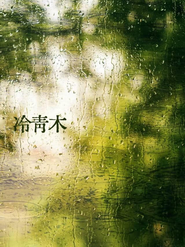 冷青木