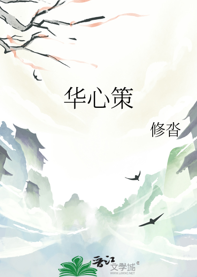 华心策