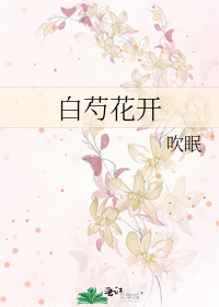 白芍花开