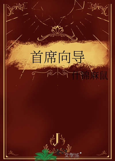 首席向导